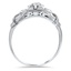 The Brumley Ring, smallside view