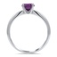 The Acasto Ring, smallside view