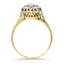 The Carmine Ring, smallside view