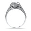 The Kandra Ring, smallside view