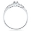 The Kennedy Ring, smallside view