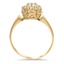 The Palmoa Ring, smallside view