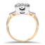 The Ladawn Ring, smallside view