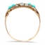 The Aurie Ring, smallside view