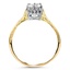 The Colard Ring, smallside view