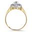The Mackennzie Ring, smallside view