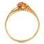 The Charita Ring, smallside view