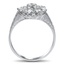 The Willa Ring, smallside view