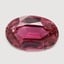 11.8x7.7mm Unheated Bi-Color  Oval   Tourmaline