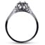 The Celia Ring, smallside view