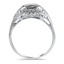 The Scotia Ring, smallside view