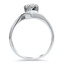 The Clyde Ring, smallside view