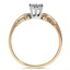 The Ardin Ring, smallside view