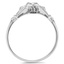 The Marshall Ring, smallside view