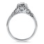 The Homewood Ring, smallside view