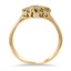 The Christel Ring, smallside view