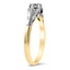 The Calwa Ring, smalltop view on a hand