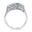 The Norine Ring, smallside view