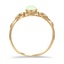 The Jasmina Ring, smallside view