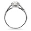 The Chessington Ring, smallside view