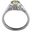 The Apollo Ring, smallside view