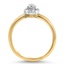 The Cole Ring, smallside view