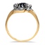 The Ofelia Ring, smallside view