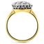The Milan Ring, smallside view
