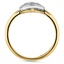 The Coronia Ring, smallside view