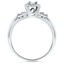 The Melrose Ring, smallside view