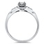 The Arwyn Ring, smallside view