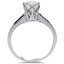 The Dorian Ring, smallside view