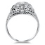 The Silviana Ring, smallside view