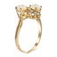 The Oliva Ring, smalltop view on a hand
