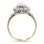 The Nilla Ring, smallside view