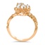 The Pascale Ring, smallside view