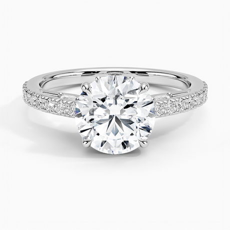 Platinum Secret Garden Adorned Gallery Diamond Ring (1/2 ct. tw.)