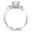 The Zane Ring, smallside view