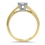 The Celia Ring, smallside view