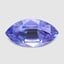11.0x5.8mm  Bi-Color  Marquise   Tanzanite