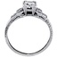 The Fiorella Ring, smallside view