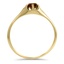 The Amor Ring, smallside view