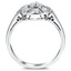 The Anemoon Ring, smallside view