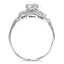 The Josefine Ring, smallside view