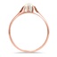 The Denmark Ring, smallside view