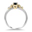 The Leshia Ring, smallside view