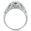 The Reese Ring, smallside view
