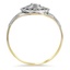 The Concha Ring, smallside view