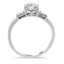The Patzi Ring, smallside view