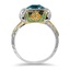 The Robenia Ring, smallside view